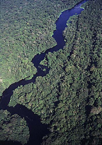 Vista aérea del río Pacaya